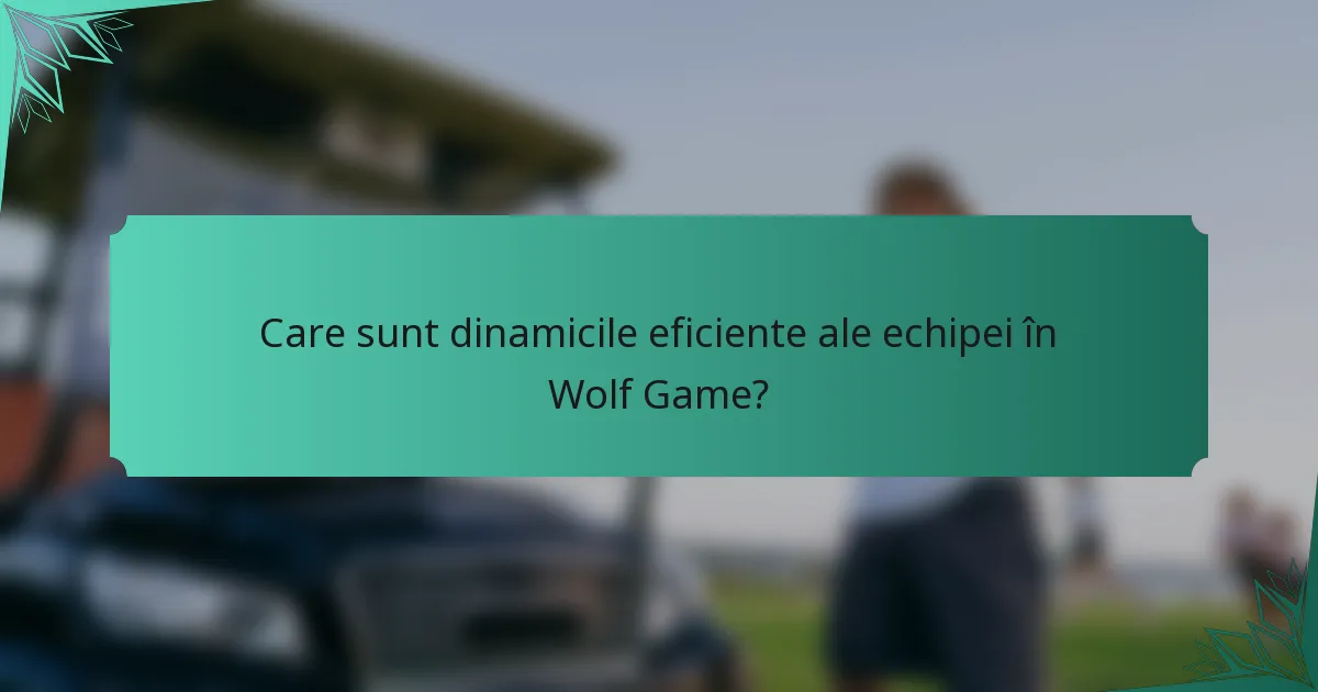 Care sunt dinamicile eficiente ale echipei în Wolf Game?