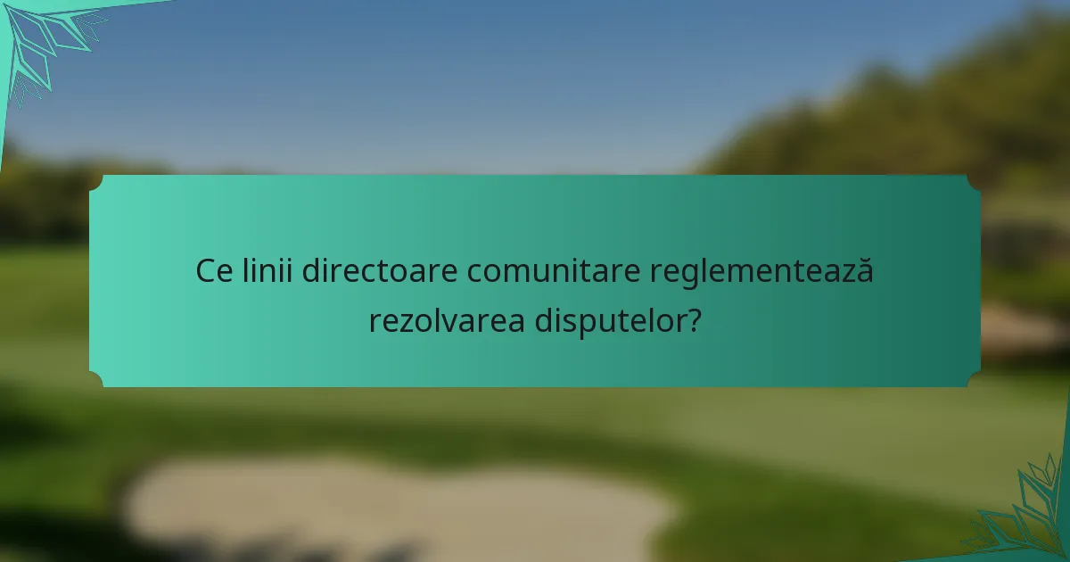 Ce linii directoare comunitare reglementează rezolvarea disputelor?